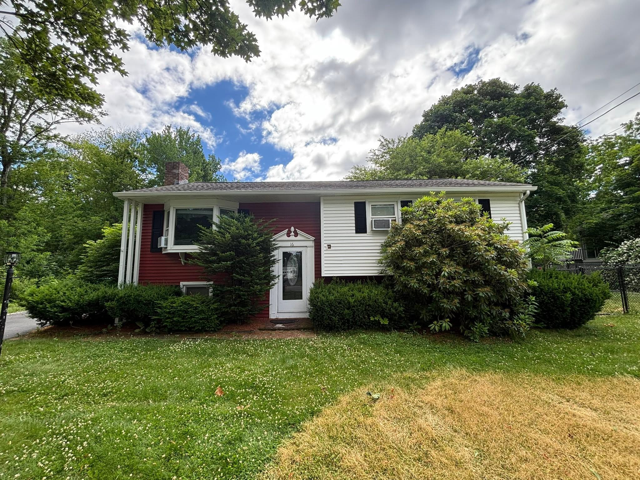 Overgrown shrubs before removal — Spencer, MA clearing project